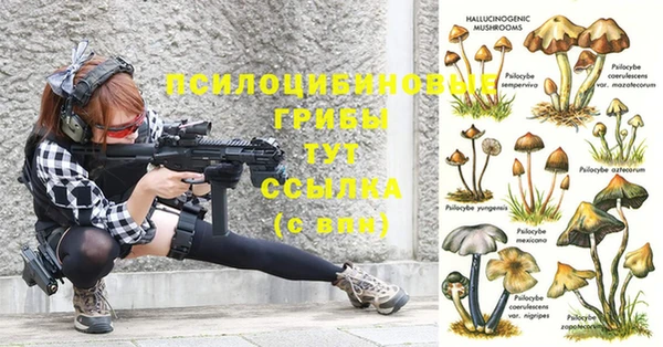 синтетический гашиш Киреевск