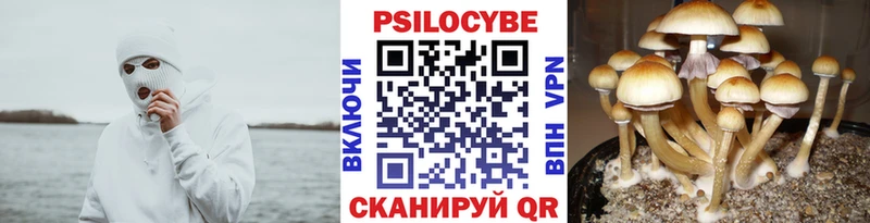 Псилоцибиновые грибы Magic Shrooms  магазин  наркотиков  Пудож 
